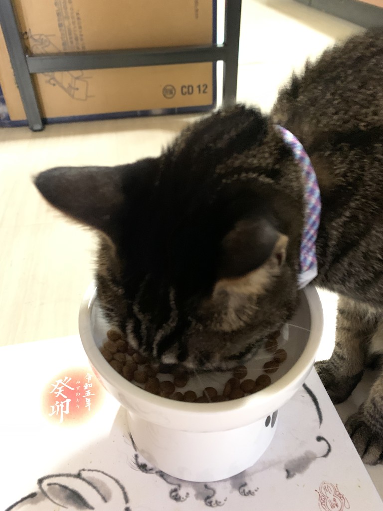 投稿写真