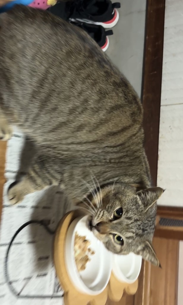 投稿写真