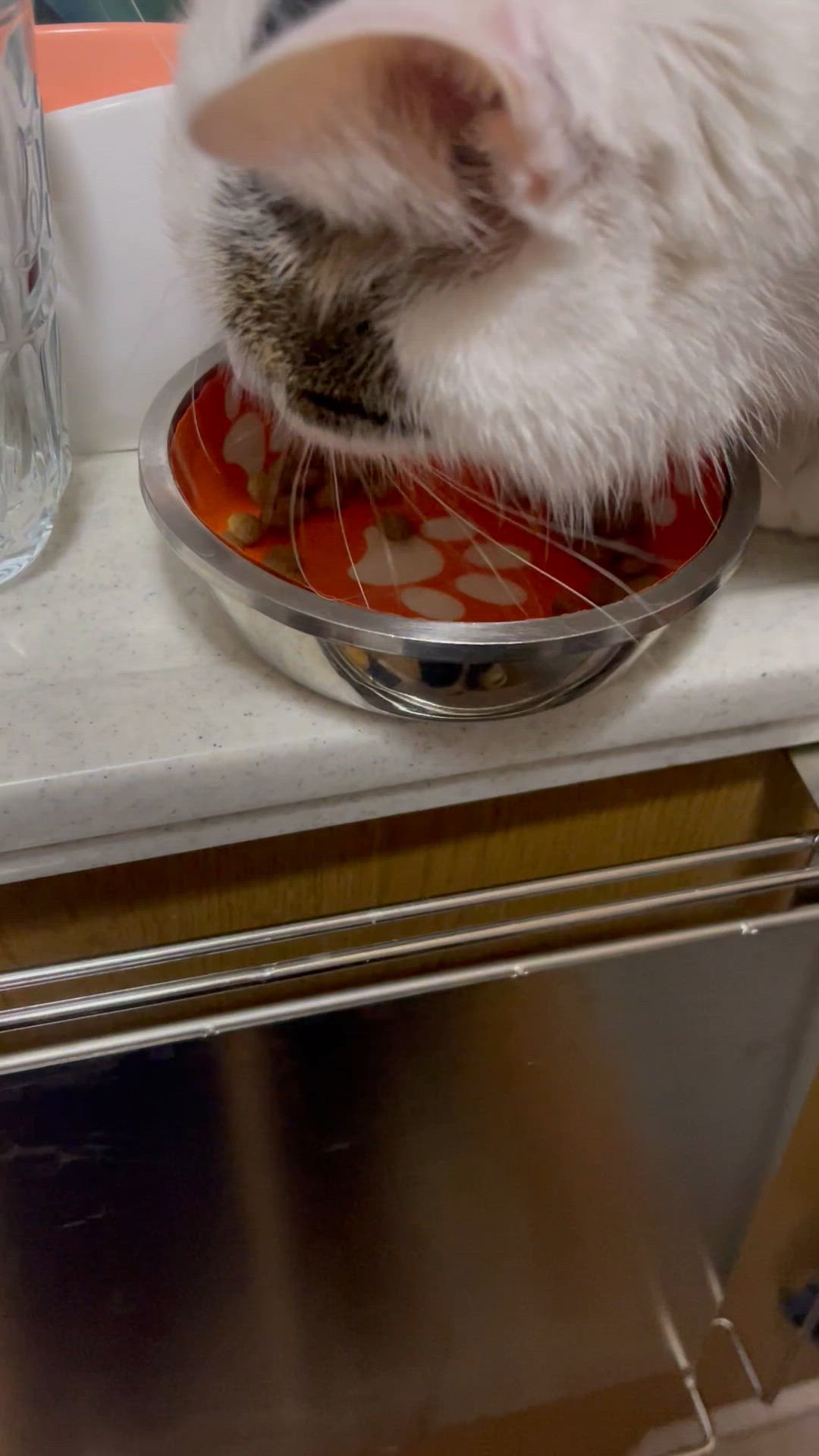 投稿写真