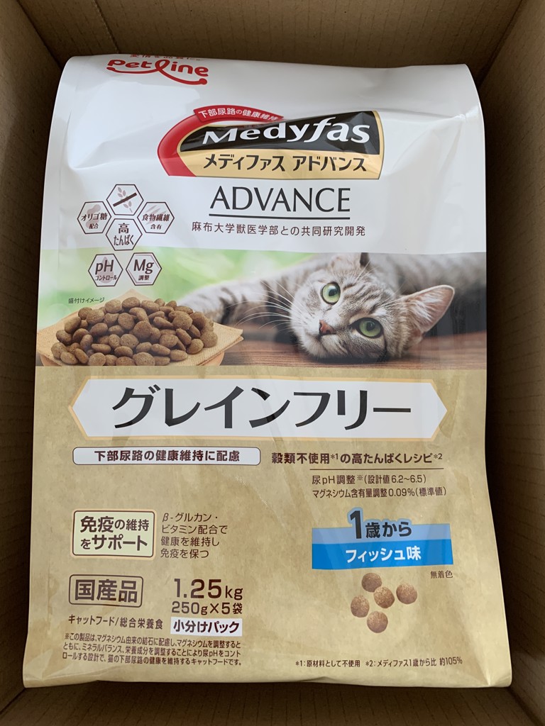 投稿写真
