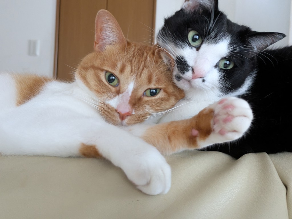 投稿写真