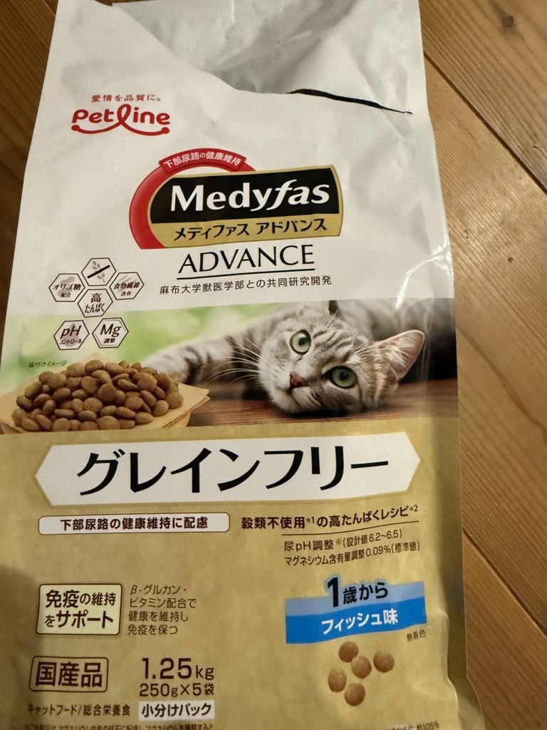 投稿写真