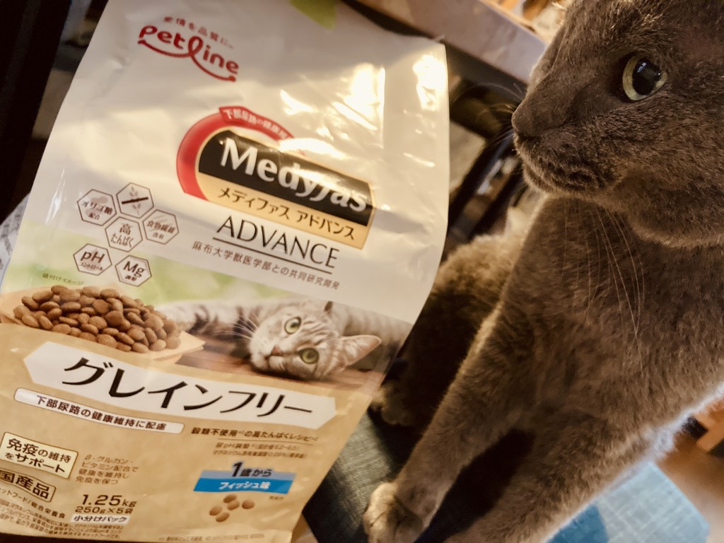 投稿写真