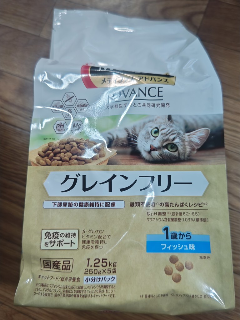 投稿写真