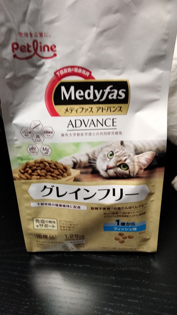 投稿写真