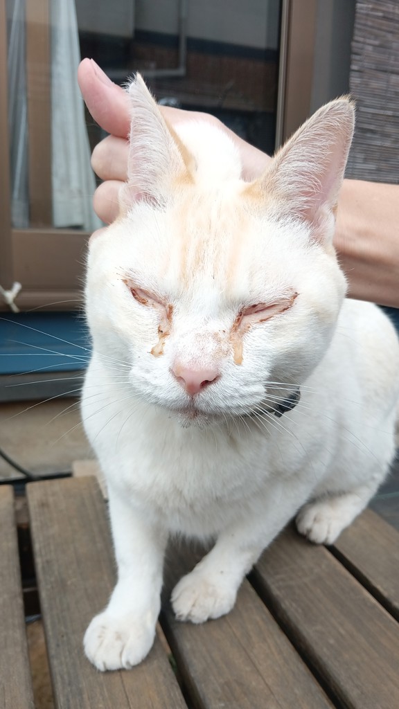投稿写真