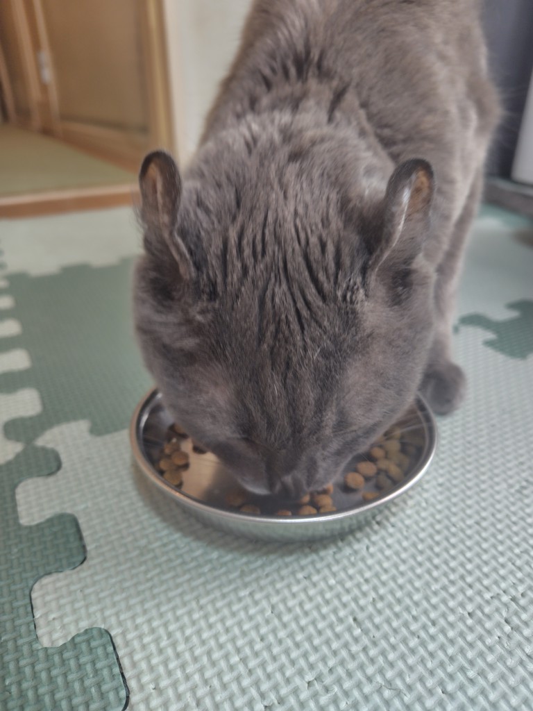 投稿写真