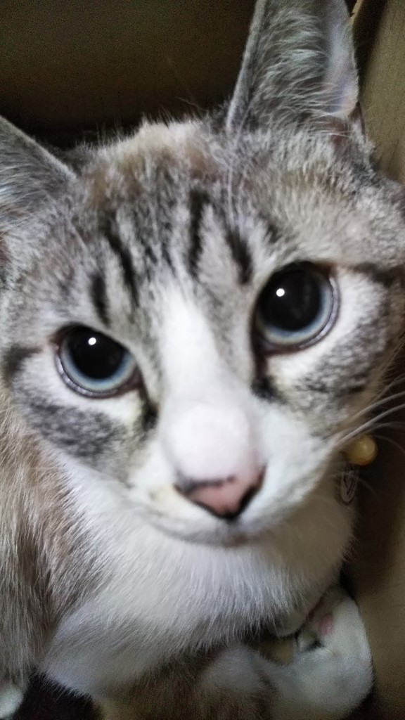ユーザー写真