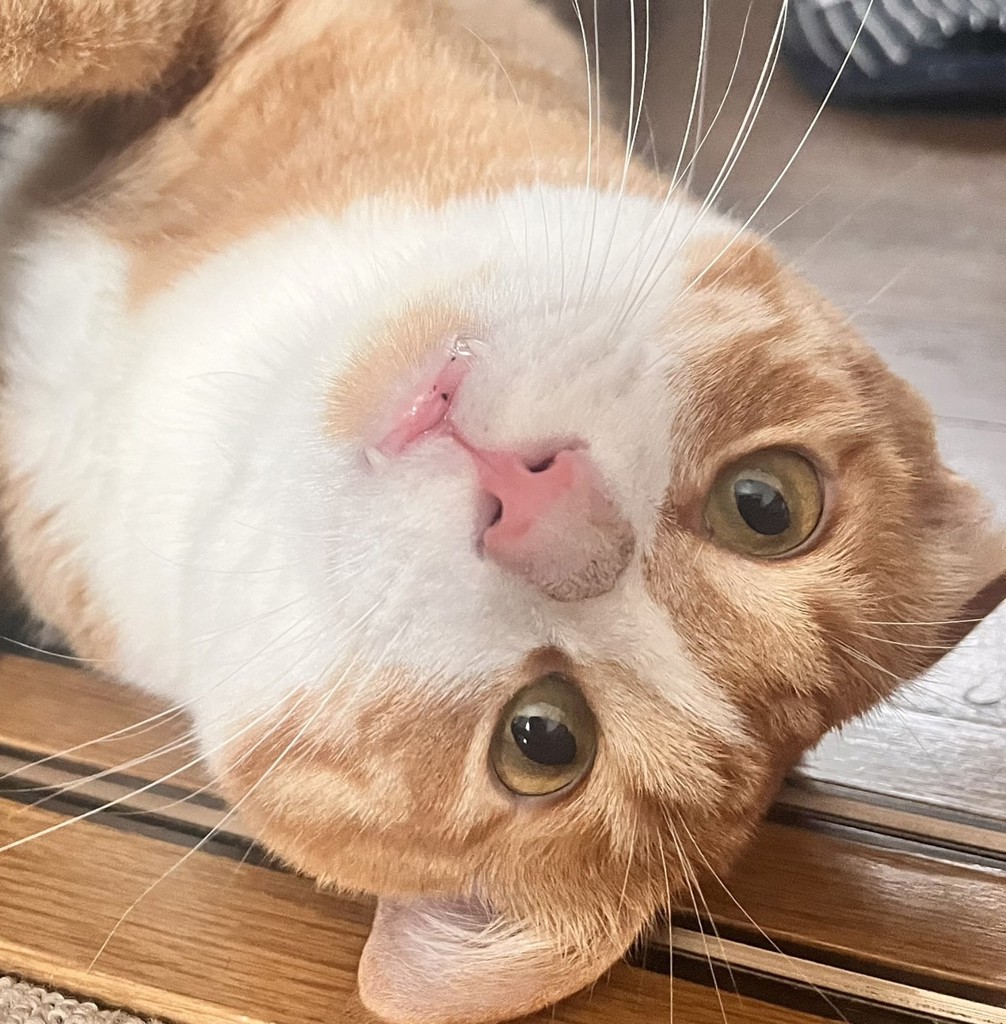 ユーザー写真