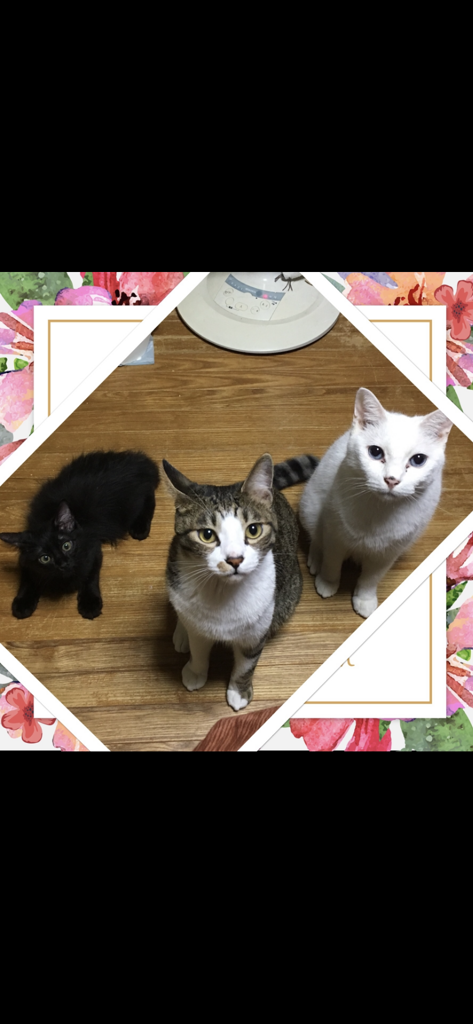 ユーザー写真