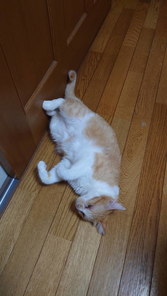 ユーザー写真