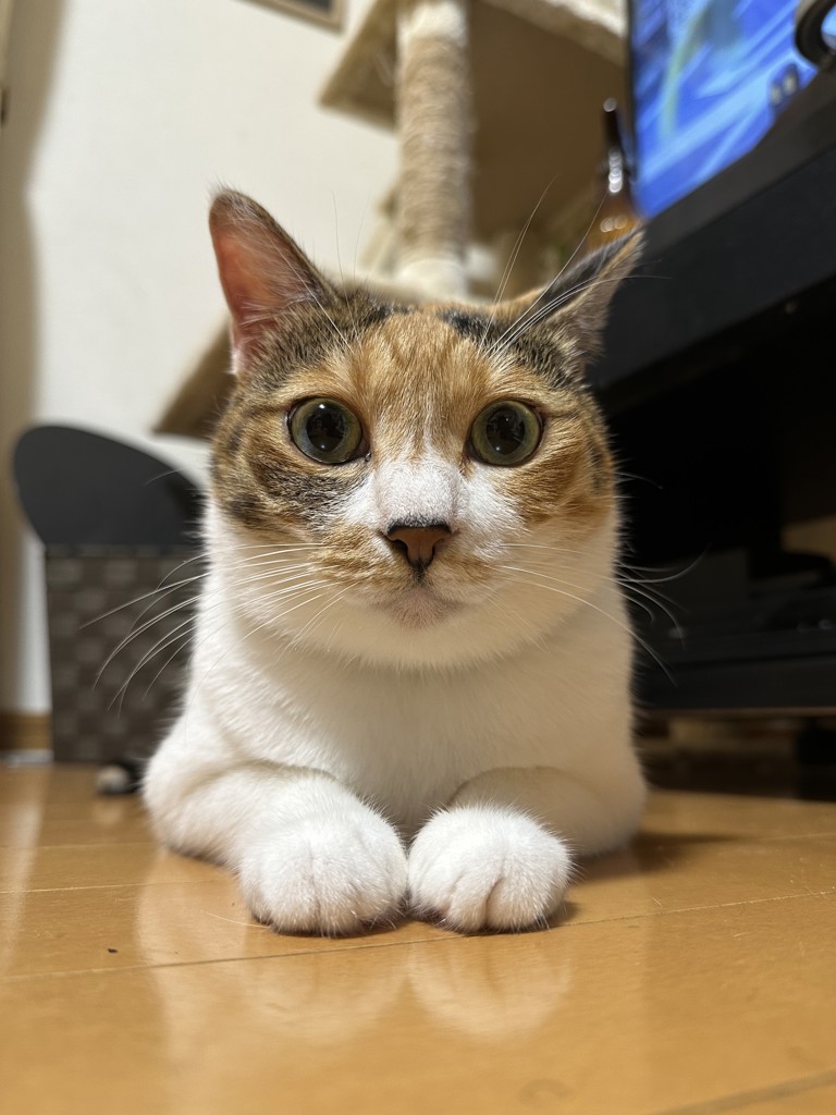 ユーザー写真