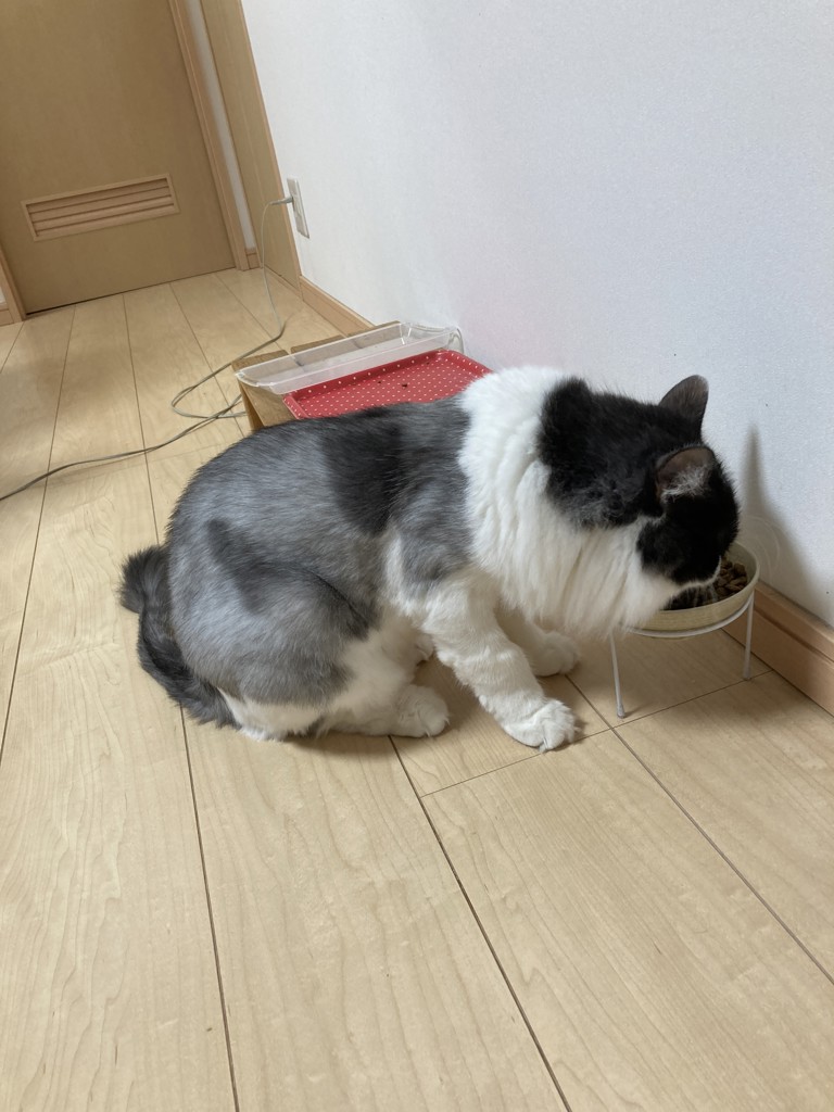 ユーザー写真