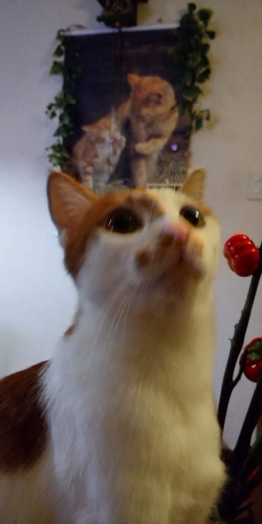 ユーザー写真