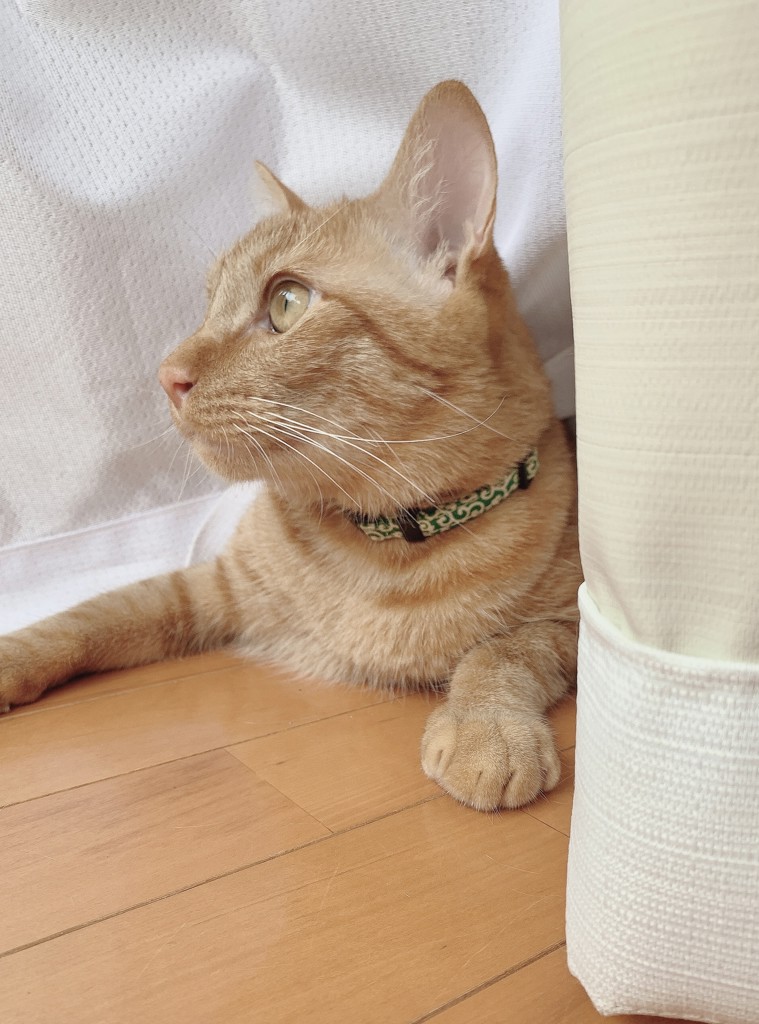 ユーザー写真