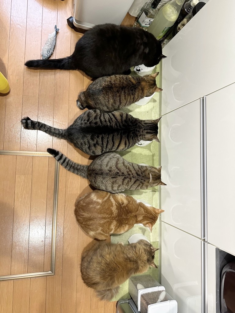 ユーザー写真