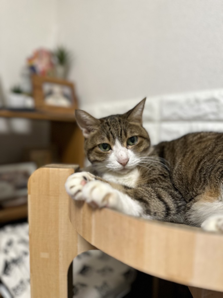 ユーザー写真