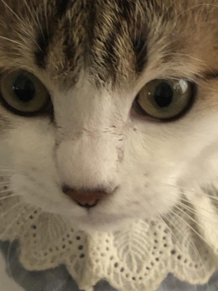 ユーザー写真