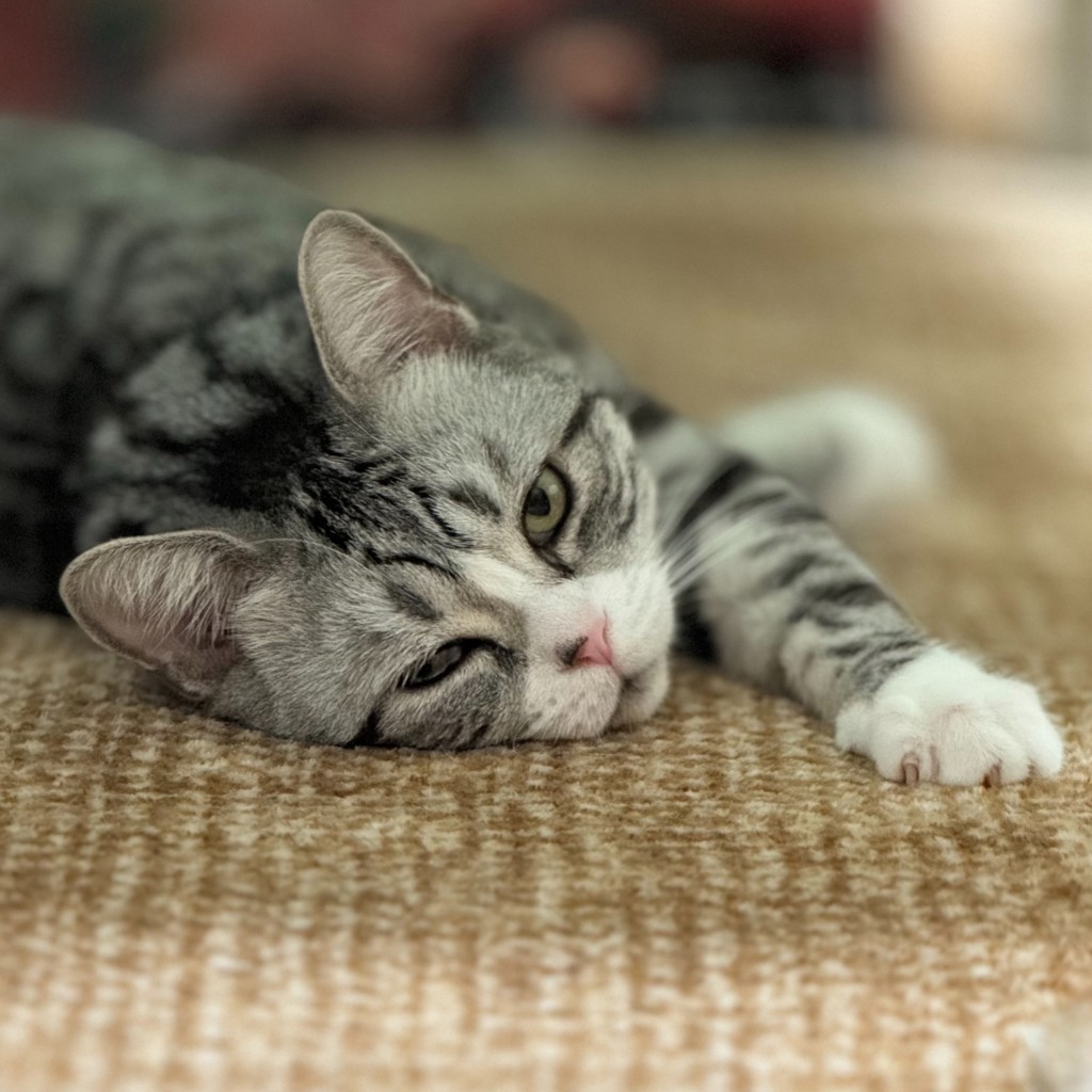 ユーザー写真