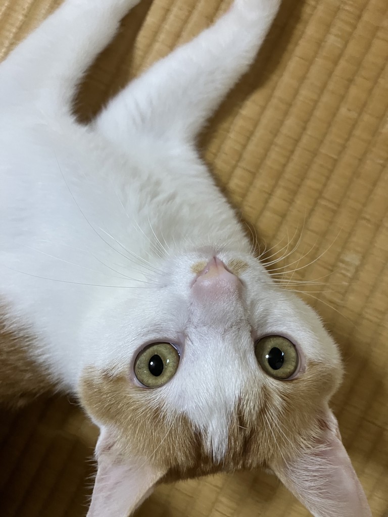 投稿写真