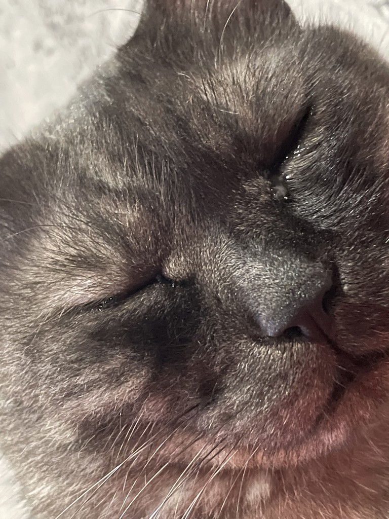 ユーザー写真