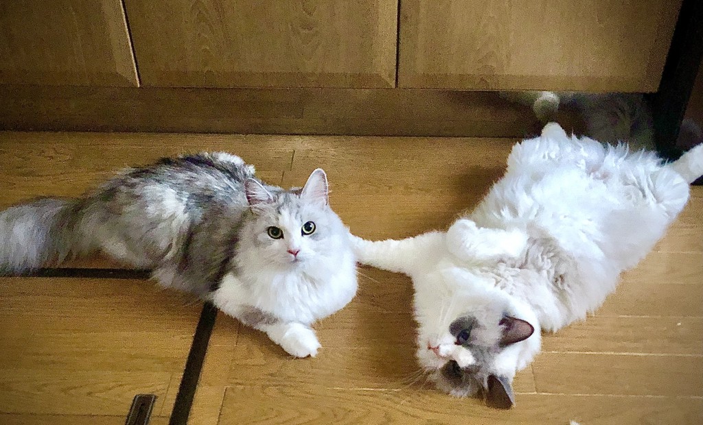 ユーザー写真