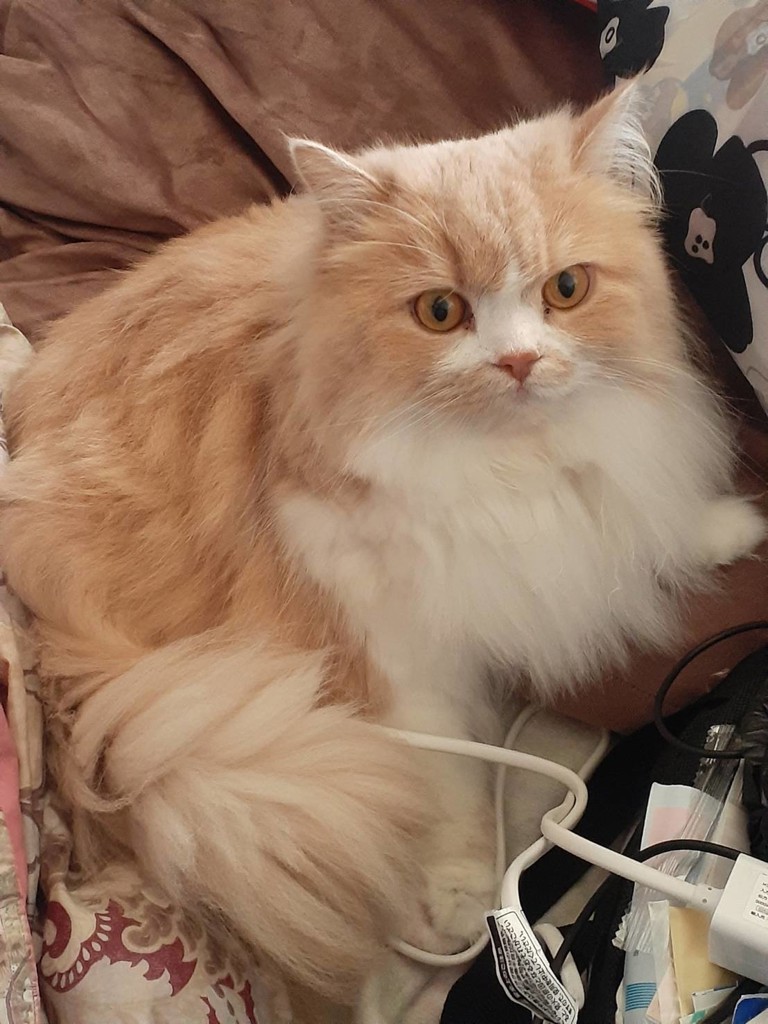 ユーザー写真