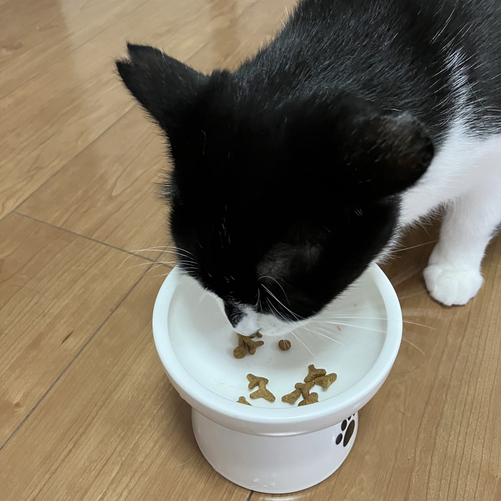 投稿写真