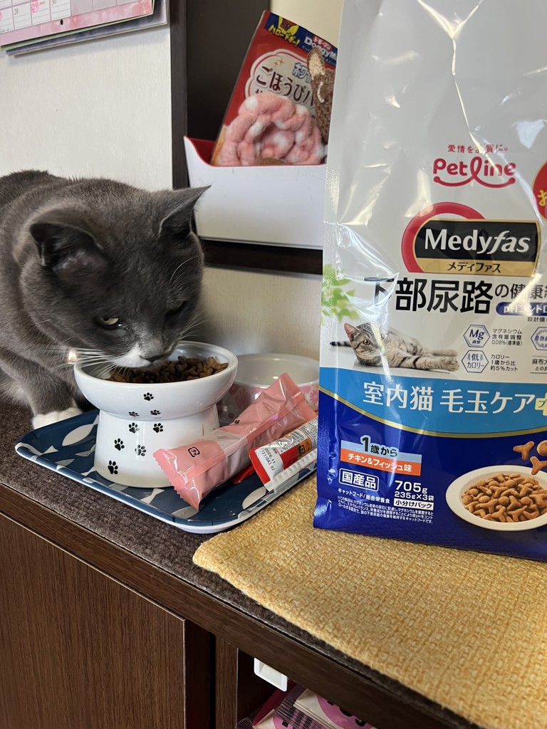 投稿写真