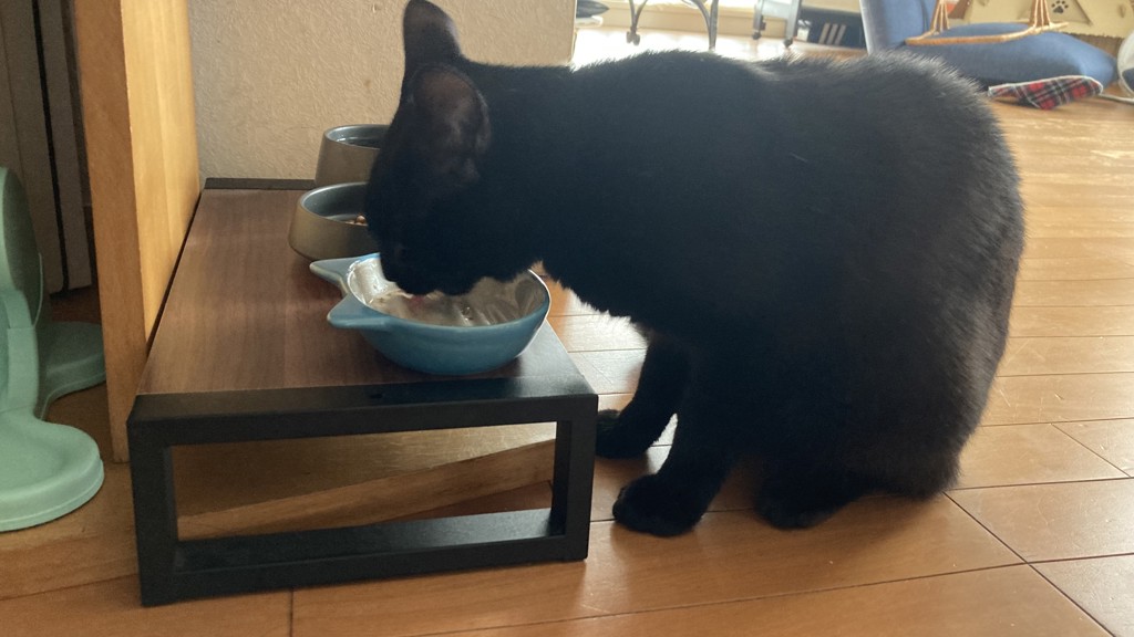 投稿写真