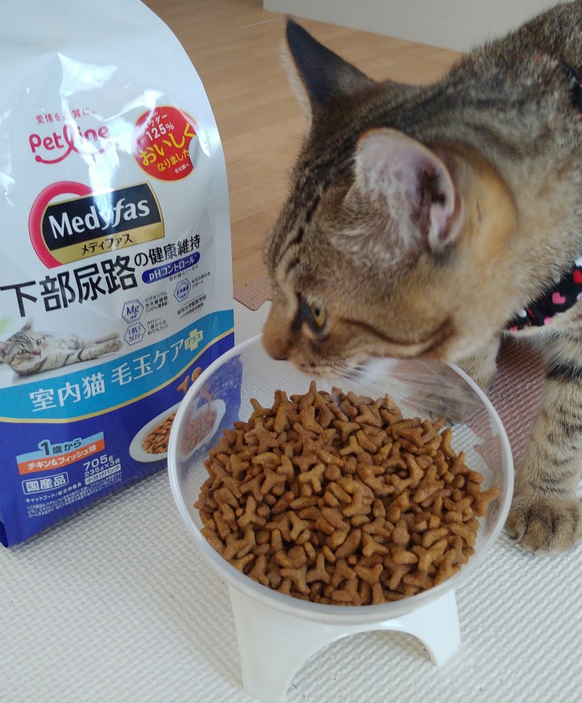 投稿写真