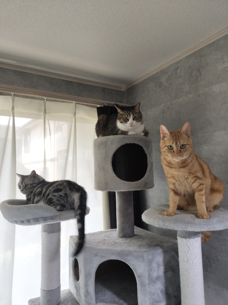 ユーザー写真