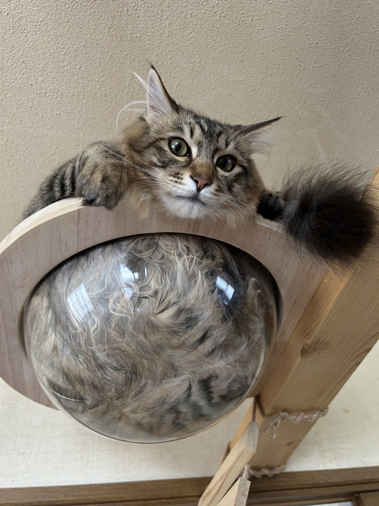 ユーザー写真