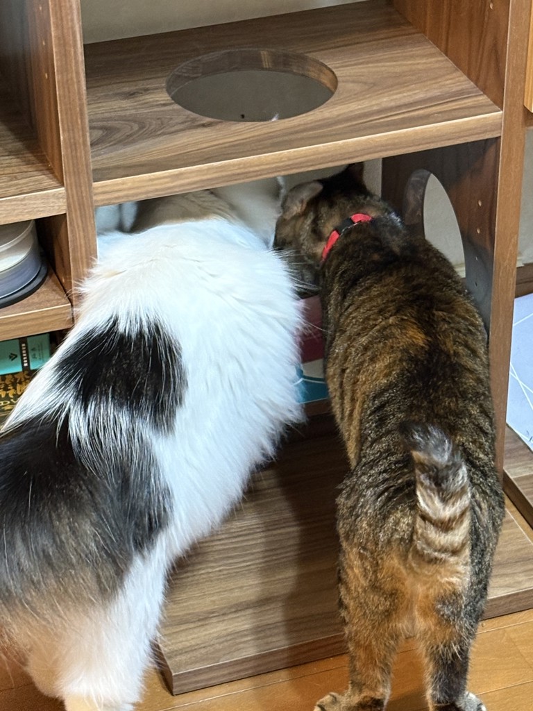 ユーザー写真