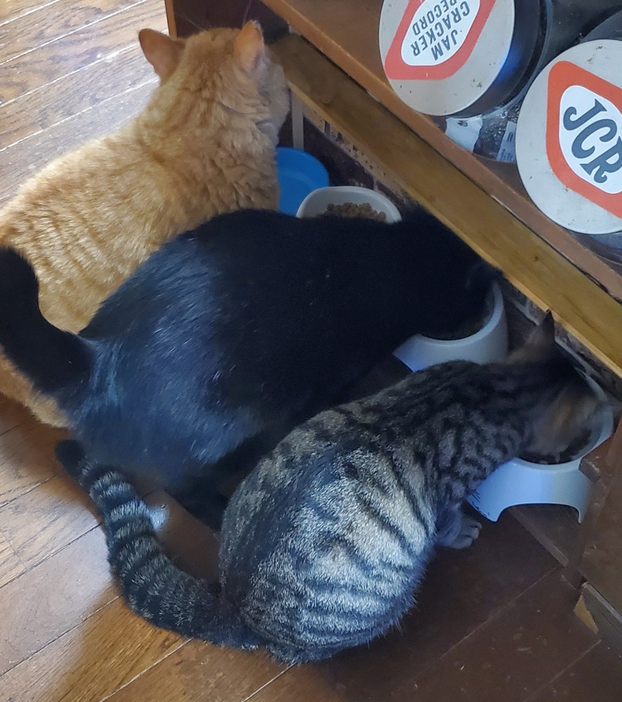 ユーザー写真