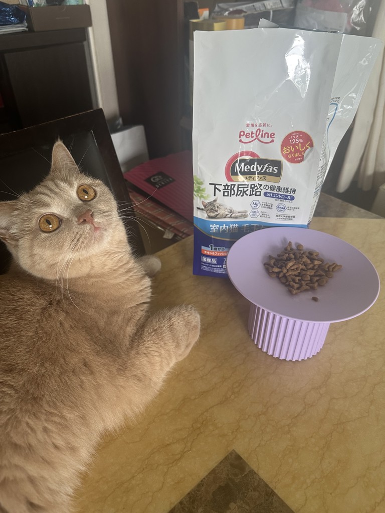 投稿写真