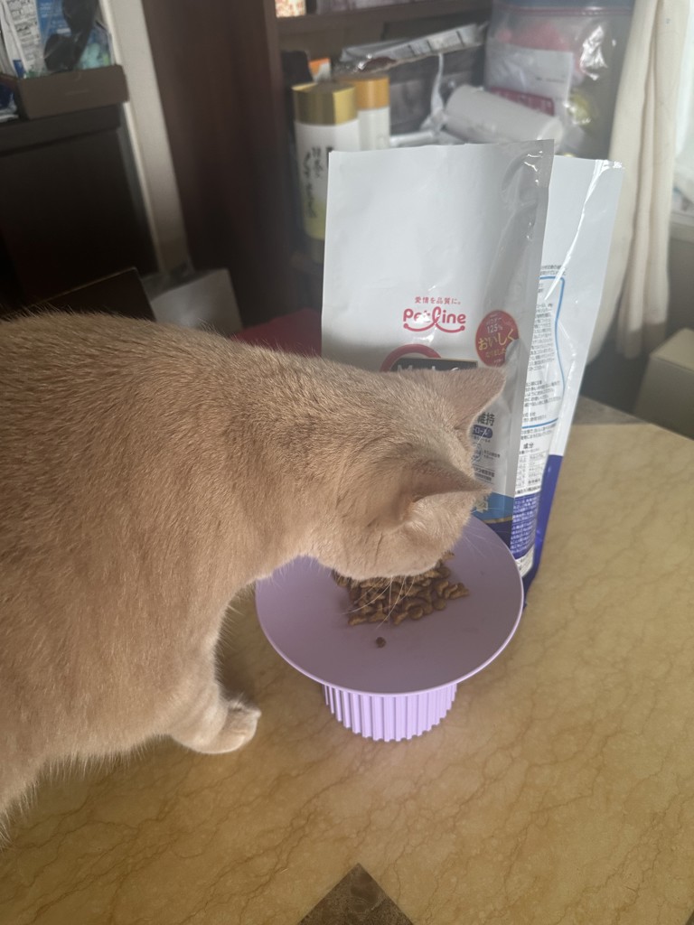 投稿写真