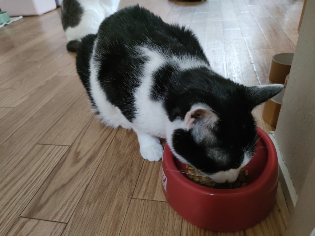 投稿写真