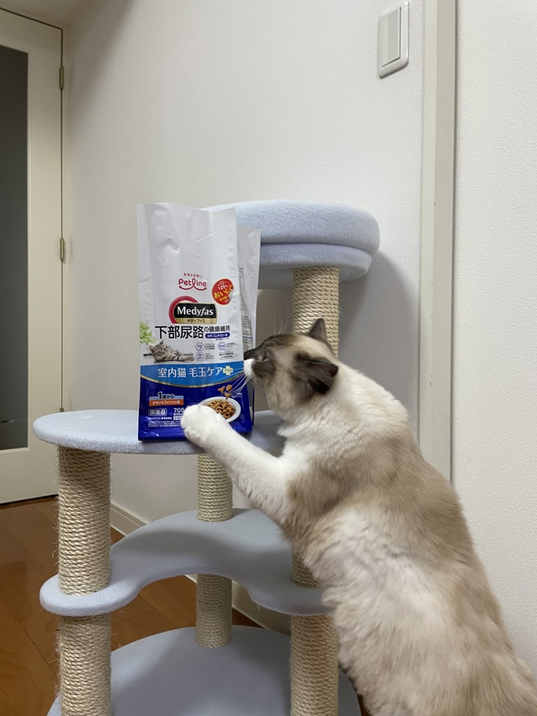 投稿写真