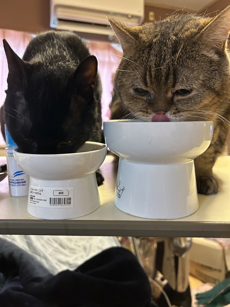 投稿写真