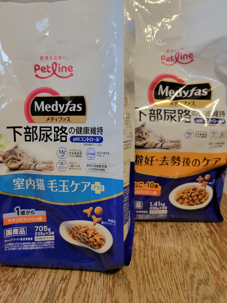 投稿写真