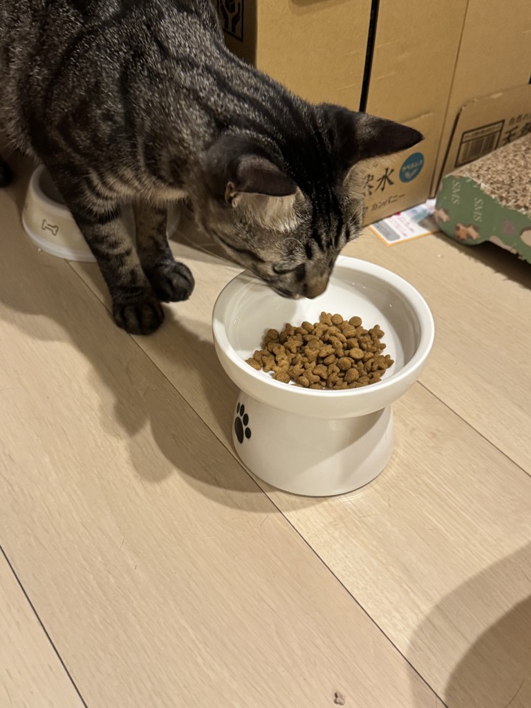 投稿写真