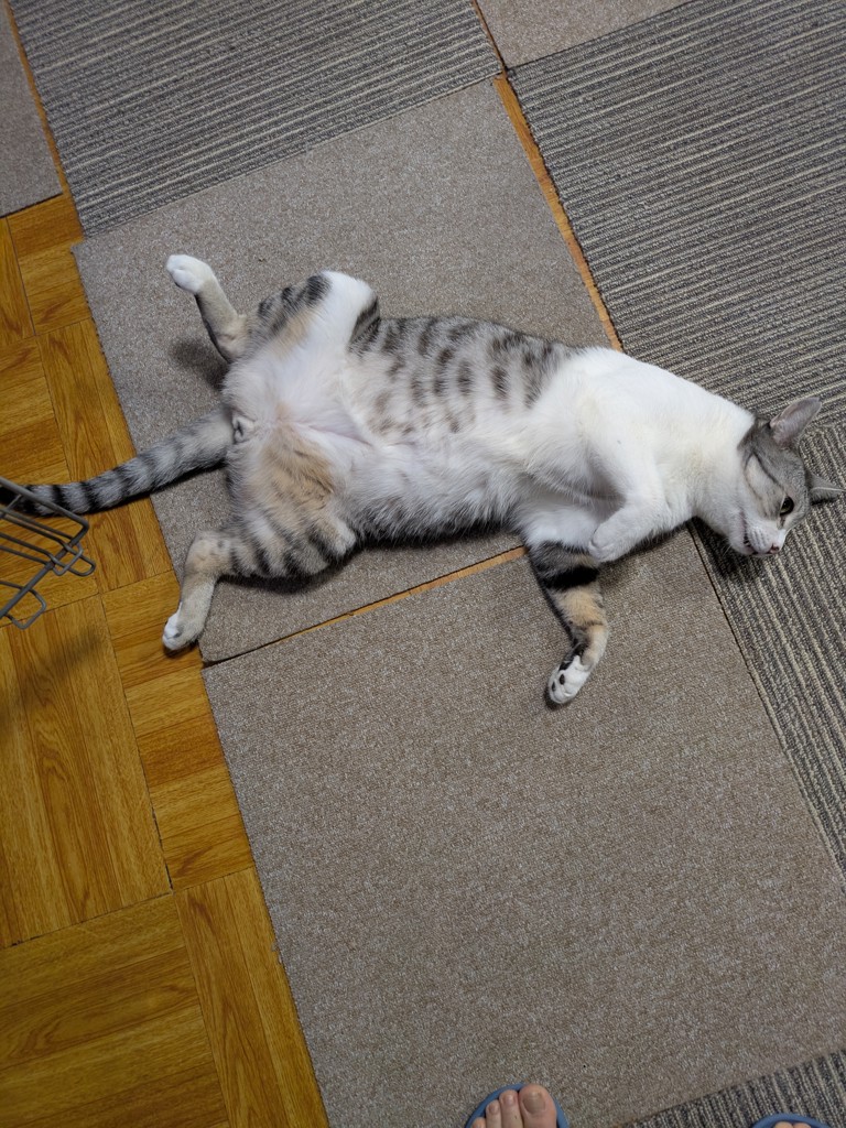 投稿写真
