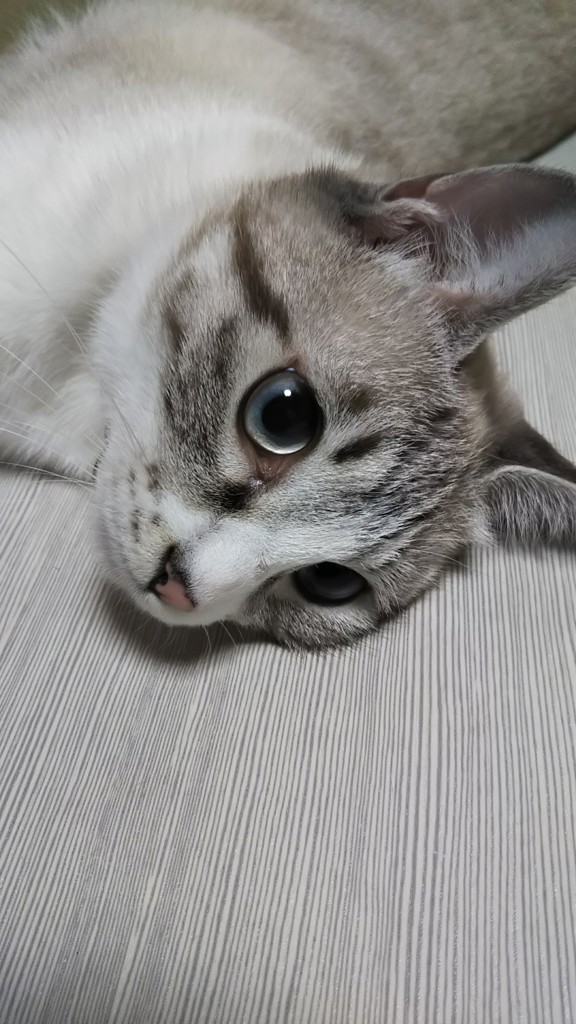 ユーザー写真