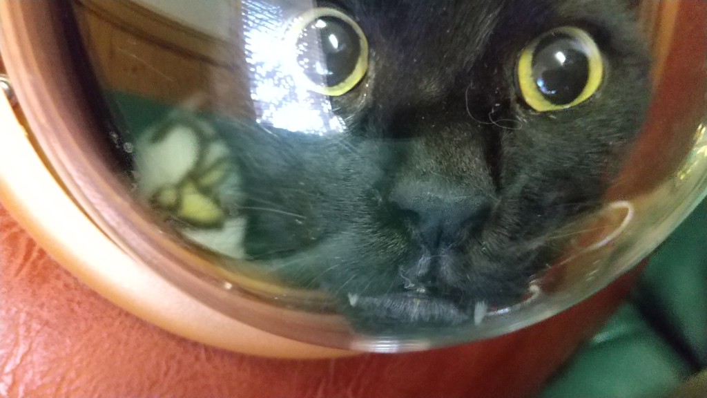 ユーザー写真
