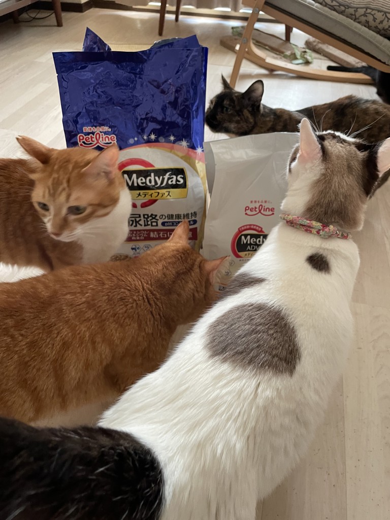 ユーザー写真