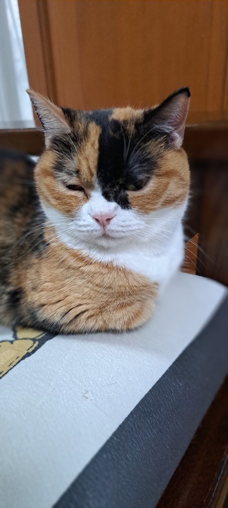 ユーザー写真
