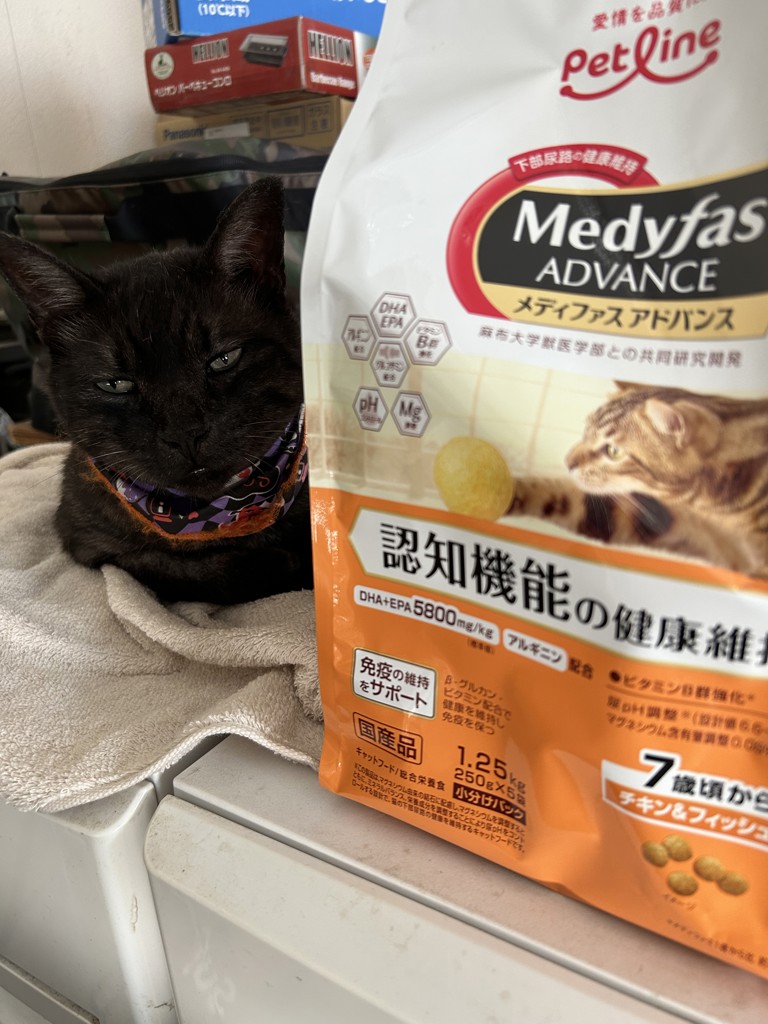 ユーザー写真