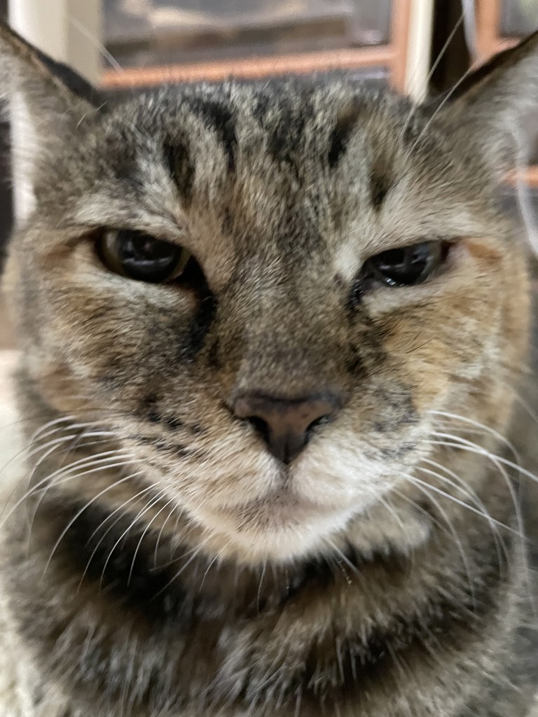 ユーザー写真