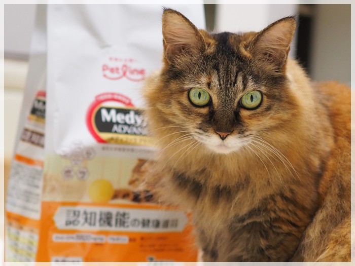 ユーザー写真